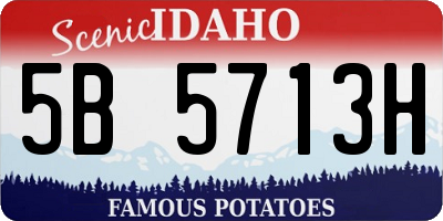 ID license plate 5B5713H