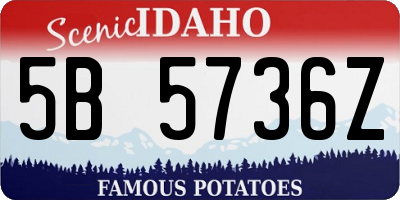 ID license plate 5B5736Z
