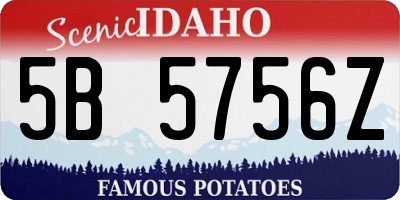 ID license plate 5B5756Z