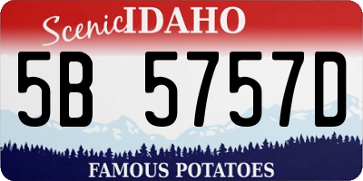 ID license plate 5B5757D