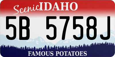 ID license plate 5B5758J
