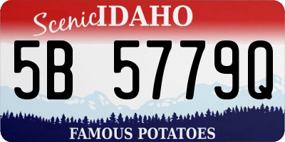 ID license plate 5B5779Q