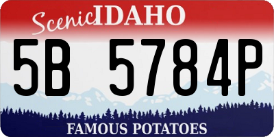 ID license plate 5B5784P