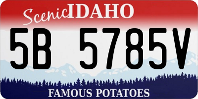 ID license plate 5B5785V