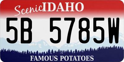 ID license plate 5B5785W