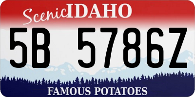 ID license plate 5B5786Z