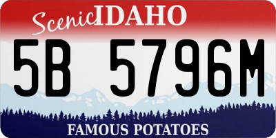 ID license plate 5B5796M