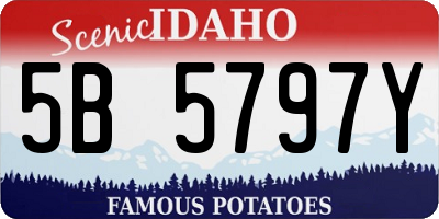 ID license plate 5B5797Y