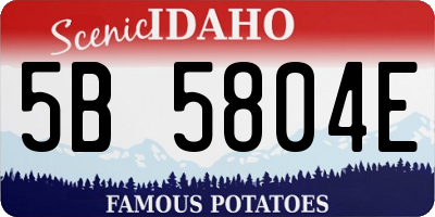 ID license plate 5B5804E