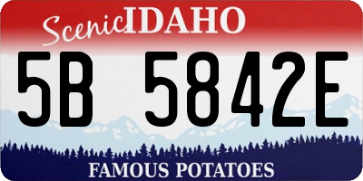 ID license plate 5B5842E