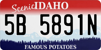 ID license plate 5B5891N