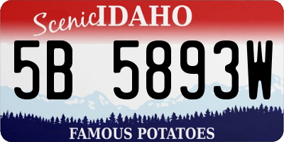 ID license plate 5B5893W