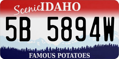 ID license plate 5B5894W