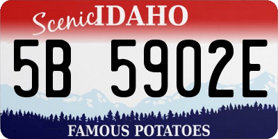 ID license plate 5B5902E