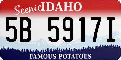 ID license plate 5B5917I