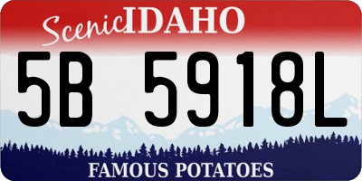 ID license plate 5B5918L