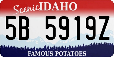 ID license plate 5B5919Z