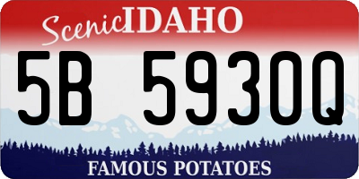ID license plate 5B5930Q
