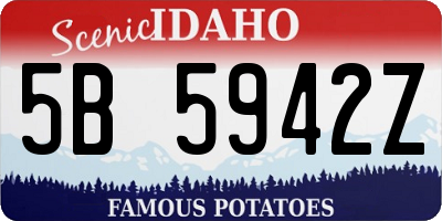 ID license plate 5B5942Z