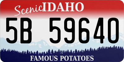 ID license plate 5B5964O
