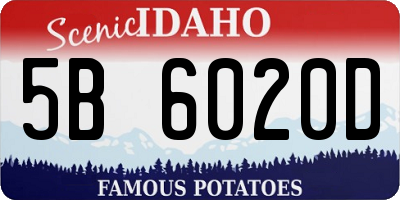 ID license plate 5B6020D