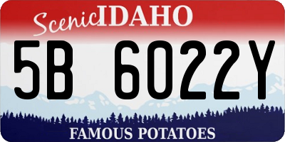 ID license plate 5B6022Y