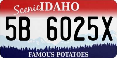ID license plate 5B6025X