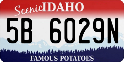 ID license plate 5B6029N
