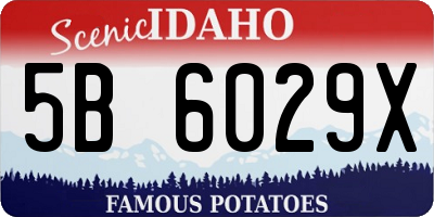 ID license plate 5B6029X