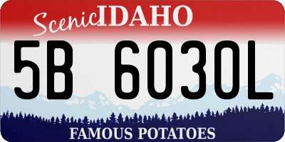 ID license plate 5B6030L