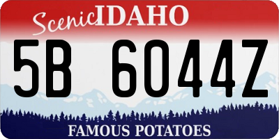 ID license plate 5B6044Z