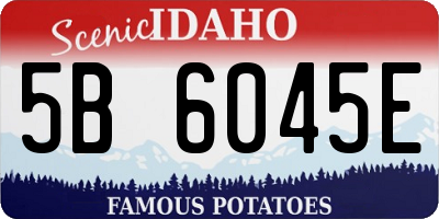 ID license plate 5B6045E