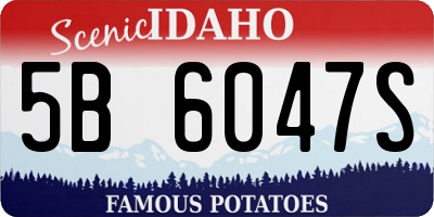 ID license plate 5B6047S