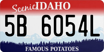 ID license plate 5B6054L