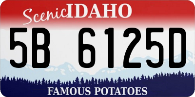 ID license plate 5B6125D