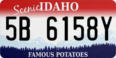 ID license plate 5B6158Y