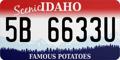 ID license plate 5B6633U