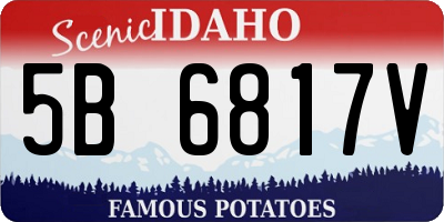 ID license plate 5B6817V