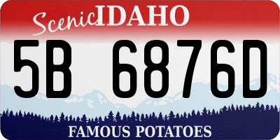 ID license plate 5B6876D