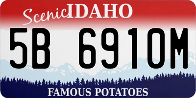 ID license plate 5B6910M