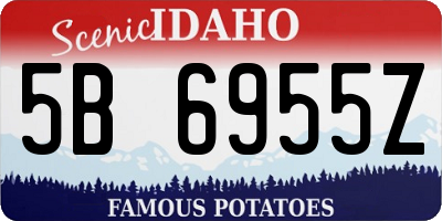 ID license plate 5B6955Z