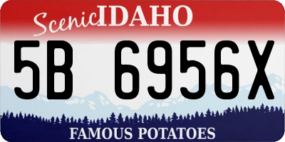 ID license plate 5B6956X