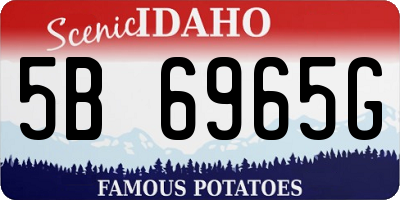 ID license plate 5B6965G