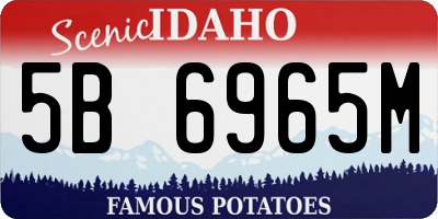 ID license plate 5B6965M