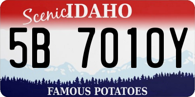 ID license plate 5B7010Y