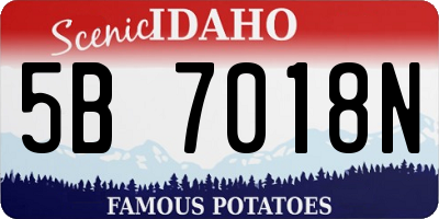 ID license plate 5B7018N