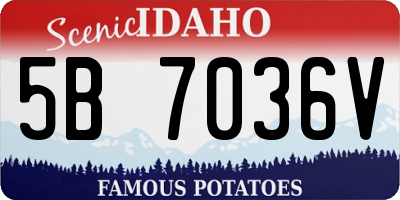 ID license plate 5B7036V