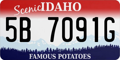 ID license plate 5B7091G