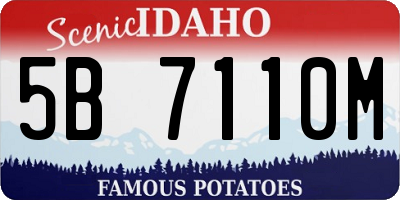 ID license plate 5B7110M