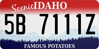 ID license plate 5B7111Z